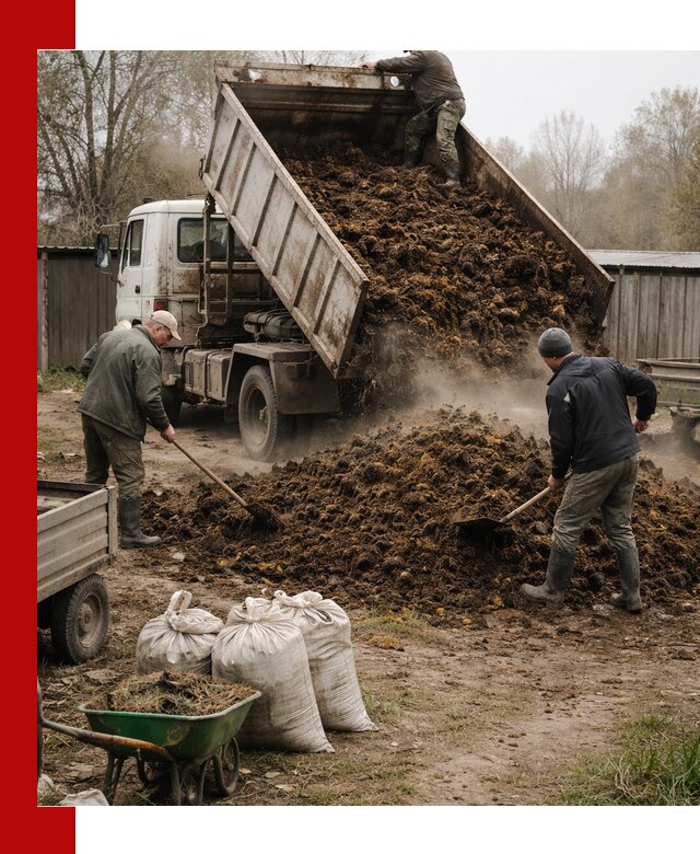 Доставка коровьего навоза самосвалом в Сегеже
